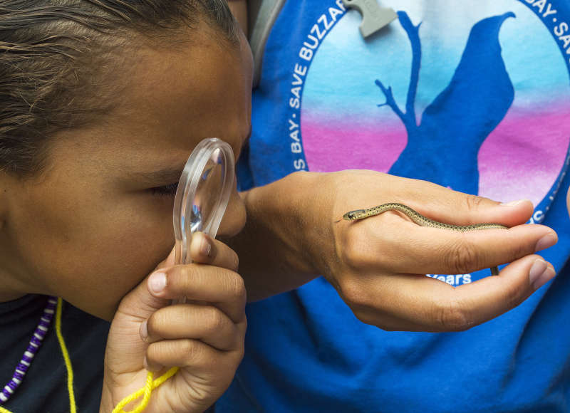 girl examining a snake with a magnifying glass