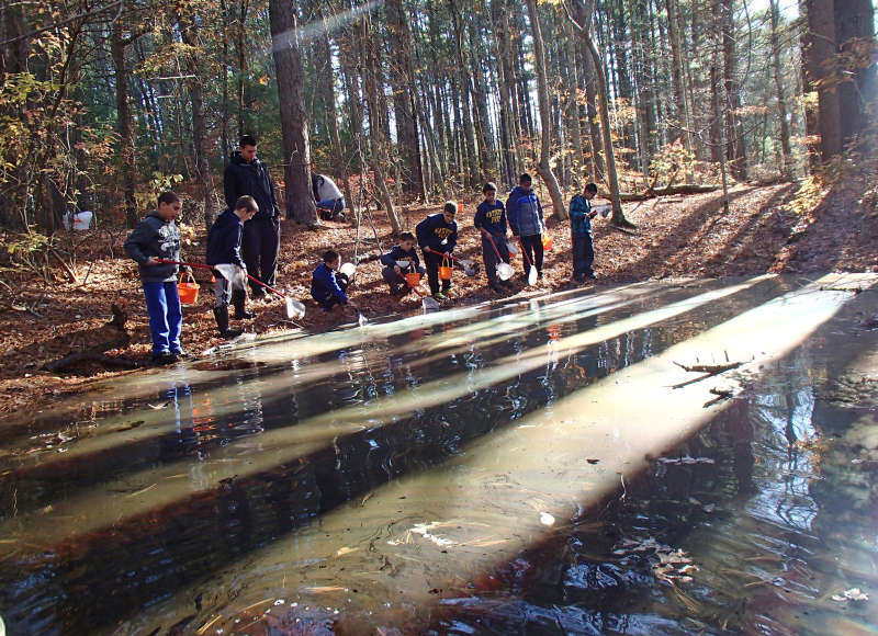 group of boys with nets standing at the edge of a vernal pool