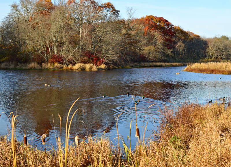 The Acushnet River from The Sawmill