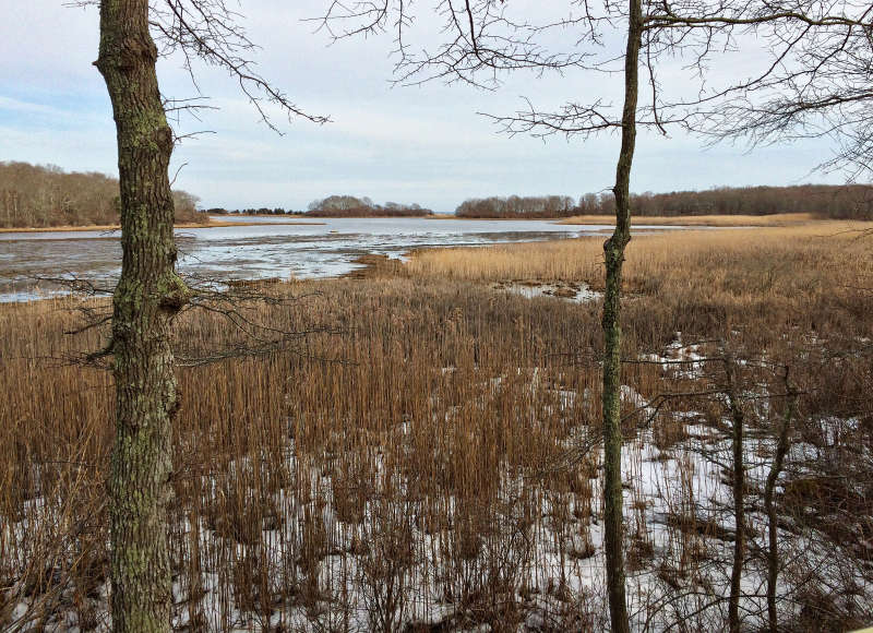 Nonquitt Marsh in winter