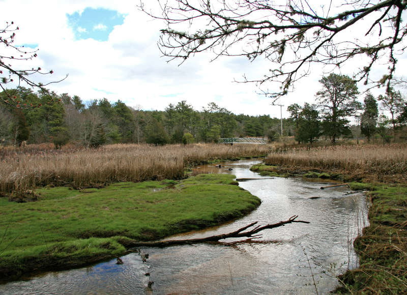 Red Brook and the Lyman Reserve in winter