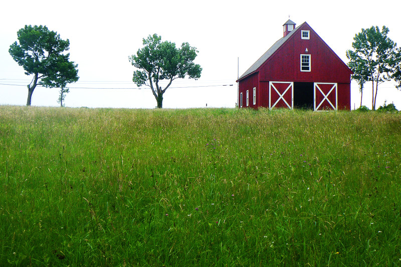 Red Barn Farm in Rochester