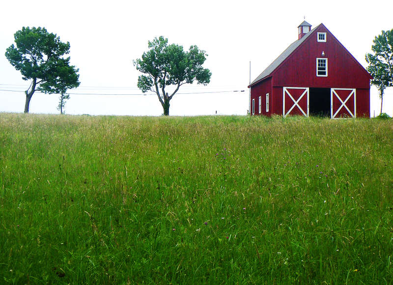Red Barn Farm in Rochester