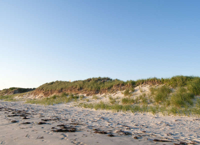 beach dunes on Buzzards Bay in Falmouth