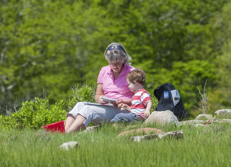 a grandmother and her grandson sitting together in a salt marsh reading a field guide