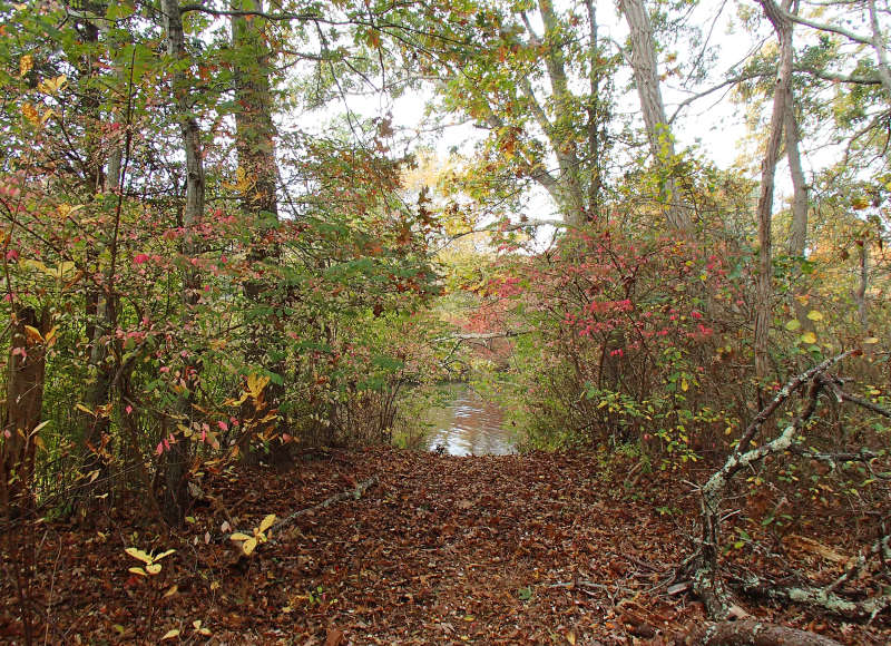 glimpse of the Agawam River from the Agawam River Trail