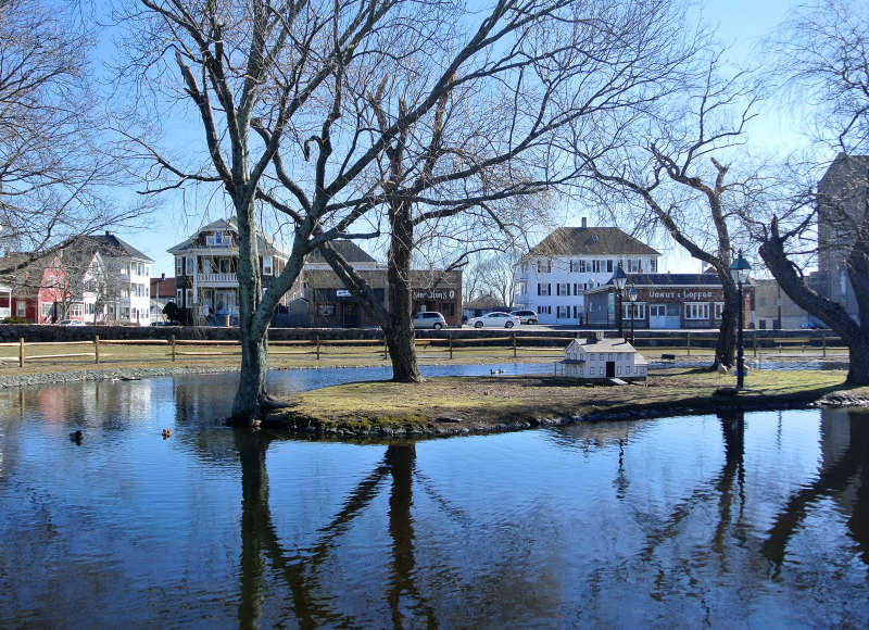 ducks in the pond at Brooklawn Park
