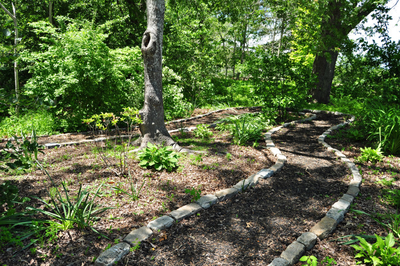 trail through woods at Buttonwood Park