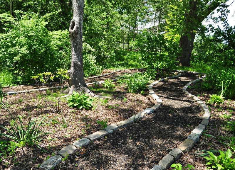 trail through woods at Buttonwood Park