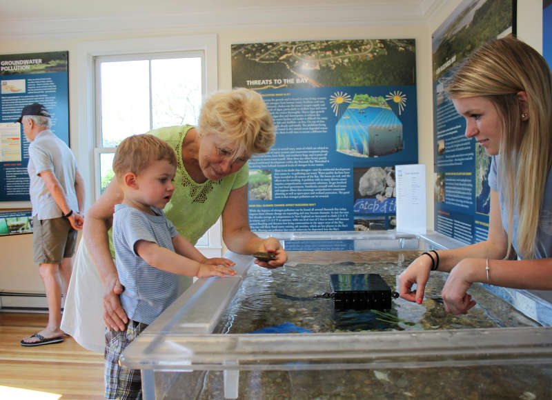 a grandmother shows her grandson a clam from a touch tank