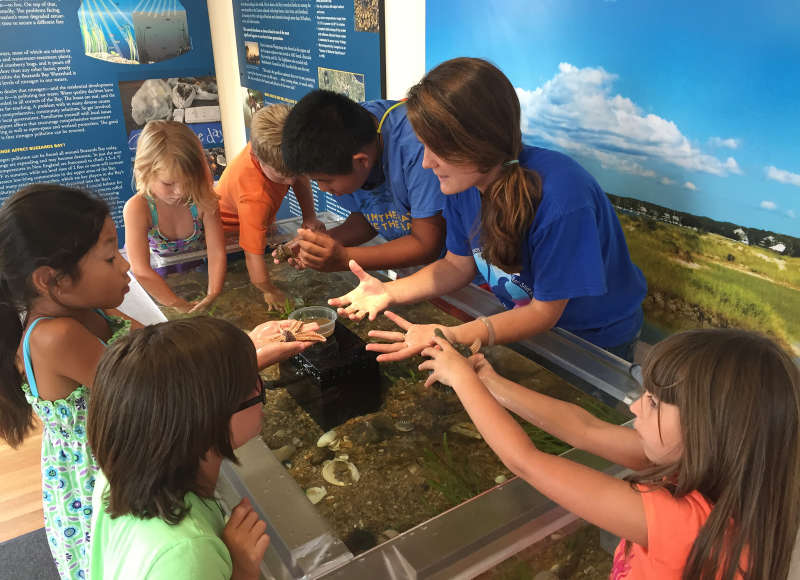 a group of kids gathered around a touch tank