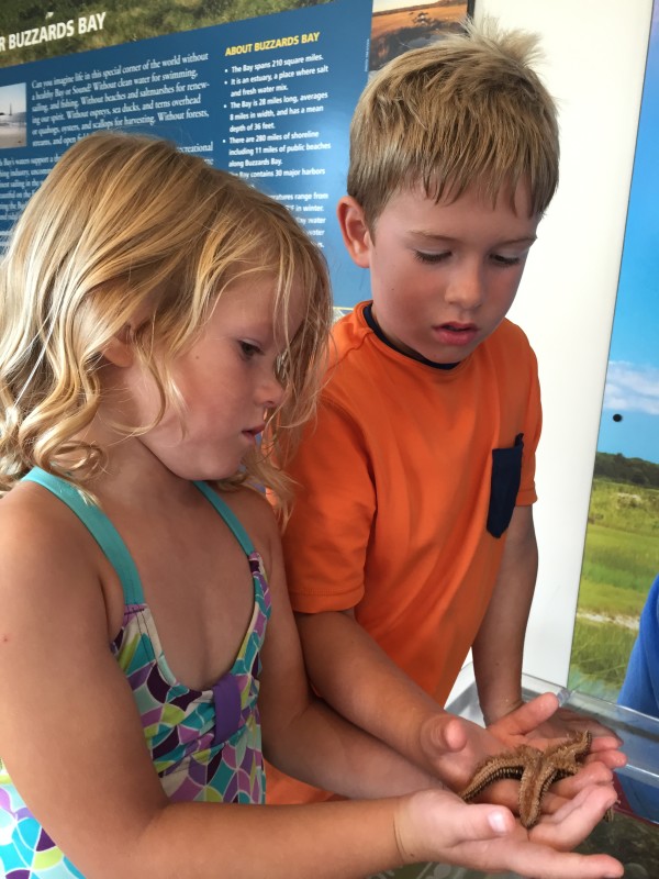 two kids hold a starfish next to a touch tank