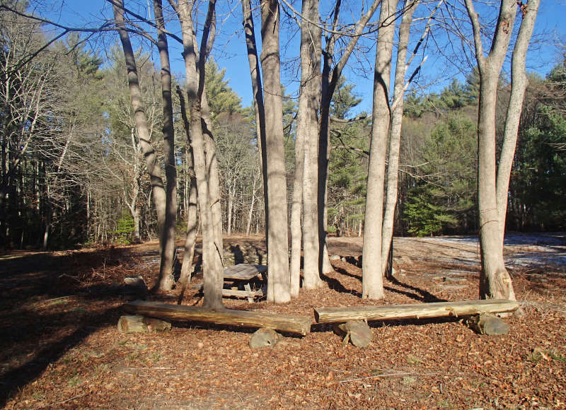 picnic area in a grove of trees at Church Wildlife Conservation Area