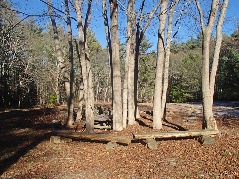 picnic area in a grove of trees at Church Wildlife Conservation Area