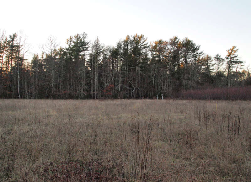 Church's Field in Rochester