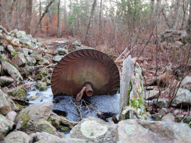 historic sawmill blade in woods at Church's Field