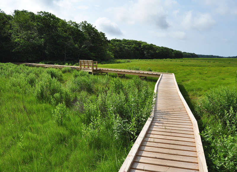 boardwalk through marsh at Cornell Farm