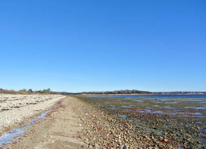 low tide at Demarest Lloyd State Park