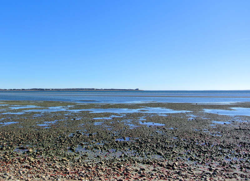 Calm, shallow water at beach at Demarest Lloyd in Dartmouth