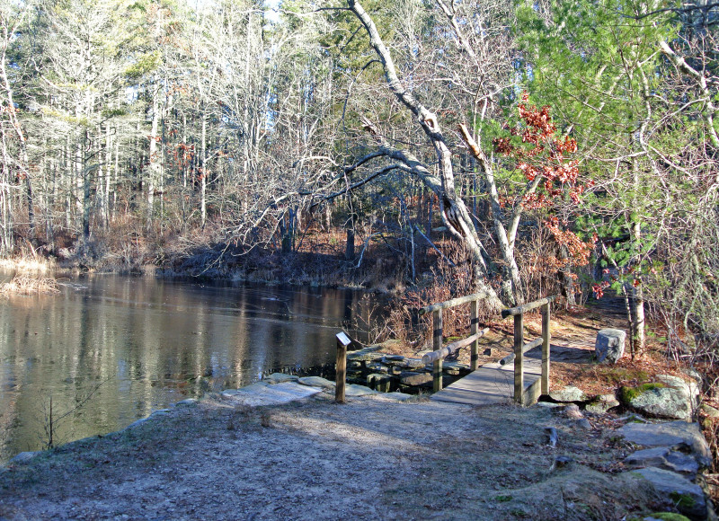 Alice's Spillway at Desctruction Brook Woods