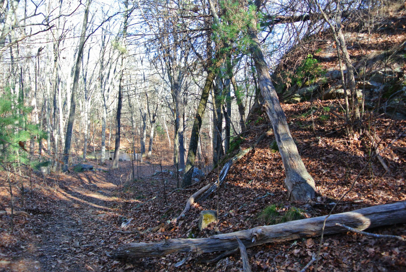 trail through Happy Valley at Destruction Brook Woods