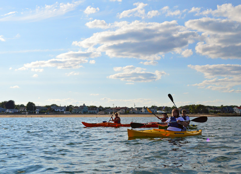 kayakers paddling in outer New Bedford Harbor