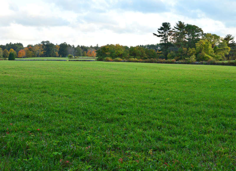 stone walls through fields at East Over Reservation