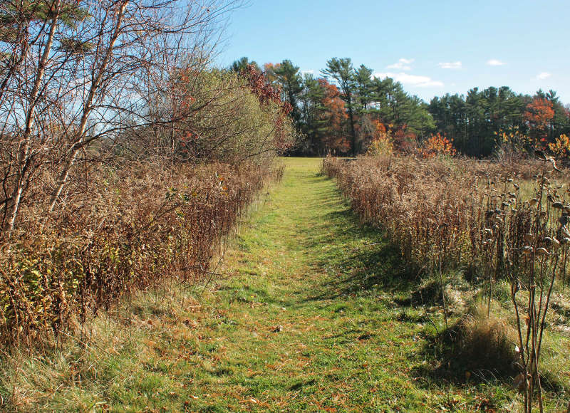 trail through field at East Over Reservation