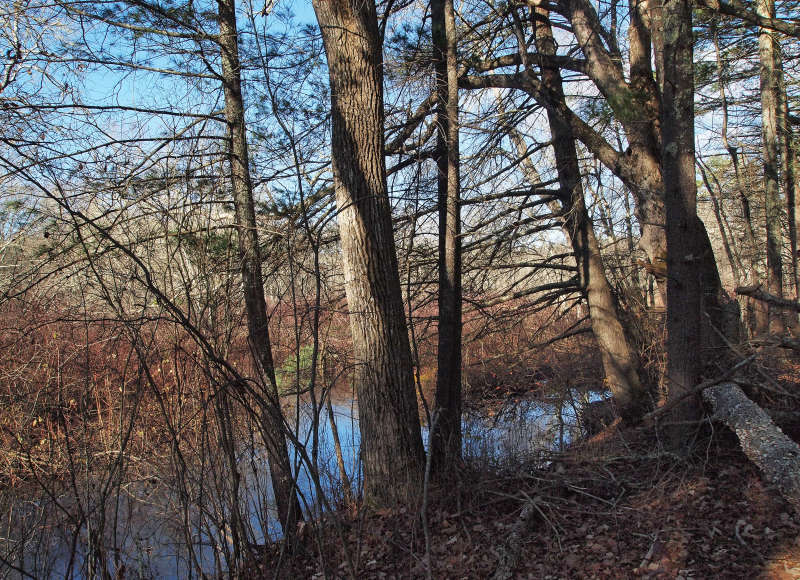 Sippican River through the trees at East Over Reservation Hales Brook and Sippican River Tracts