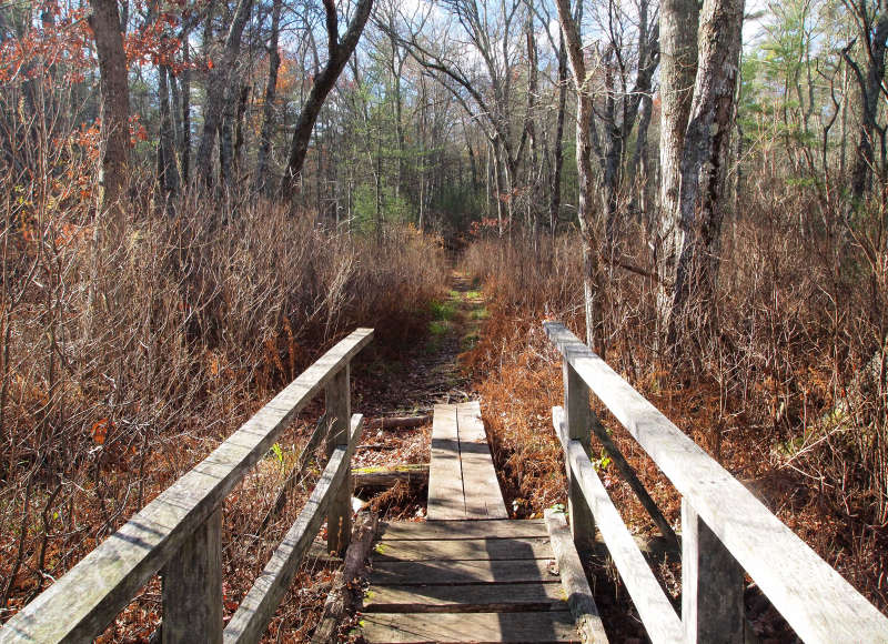 bog boards on the trails at East Over Reservation Hales Brook and Sippican River Tracts