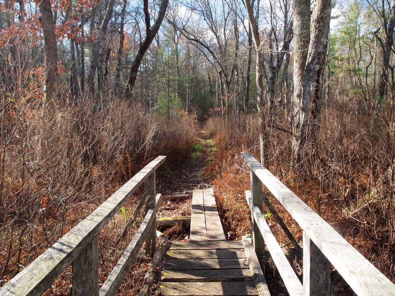 bog boards on the trails at East Over Reservation Hales Brook and Sippican River Tracts