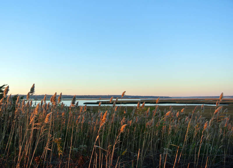 salt marsh on the East Branch of the Westport River at Horseneck Beach State Reservation in Westport