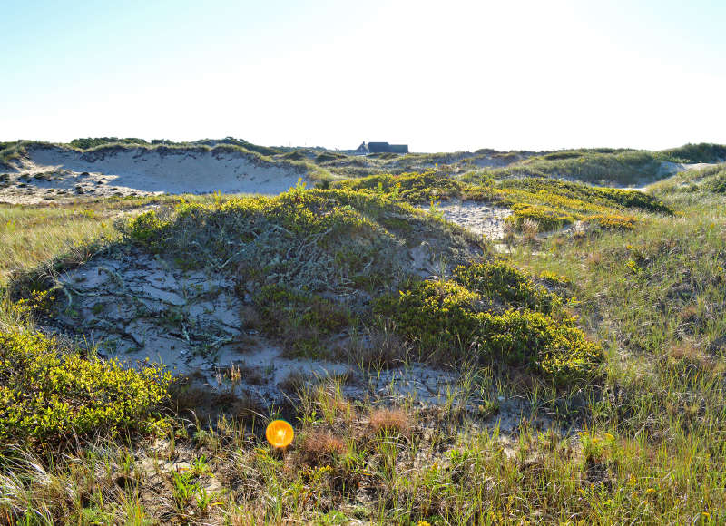 beach dunes at Horseneck Beach State Reservation in Westport