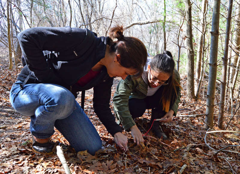 a teacher and student examine the ground at LaPalme Farm