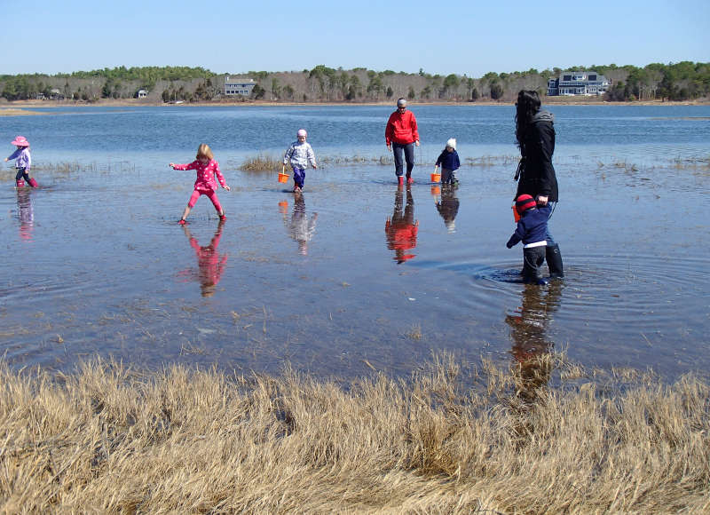 kids and families wading in the water at Little Harbor Beach in Wareham