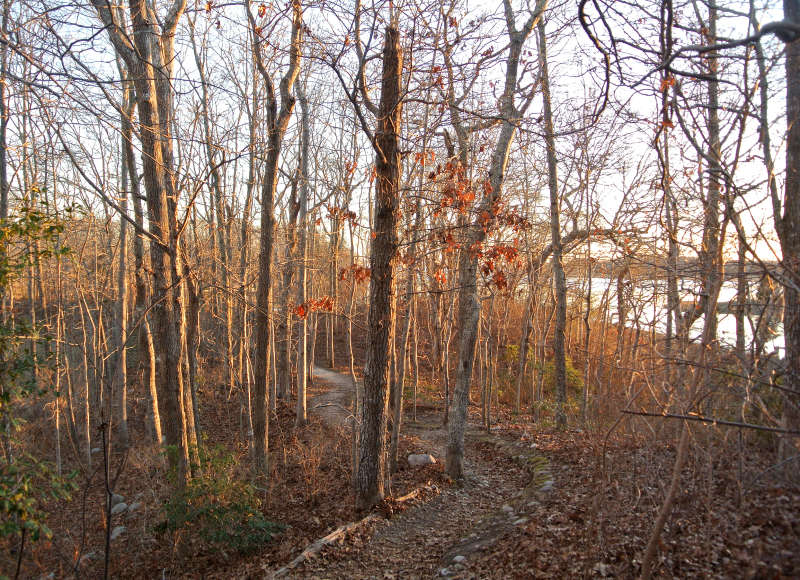 trail through the woods at the Lloyd Center in Dartmouth