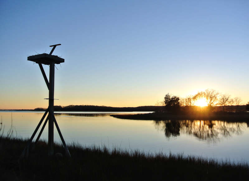 empty osprey stand on the Slocums River in Dartmouth