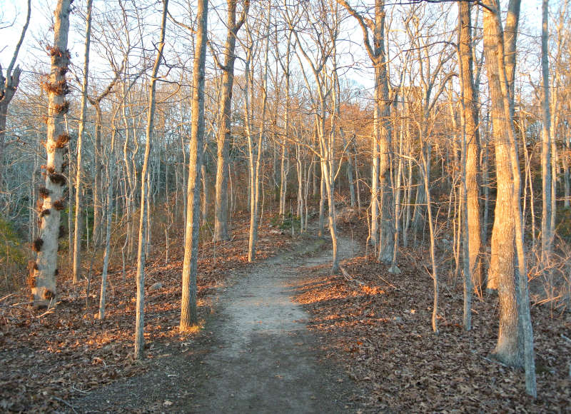 trail through the woods at the Lloyd Center in Dartmouth