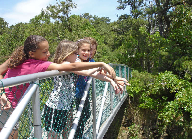 several young girls standing on a footbridge across Red Brook at the Lyman Reserve in Plymouth