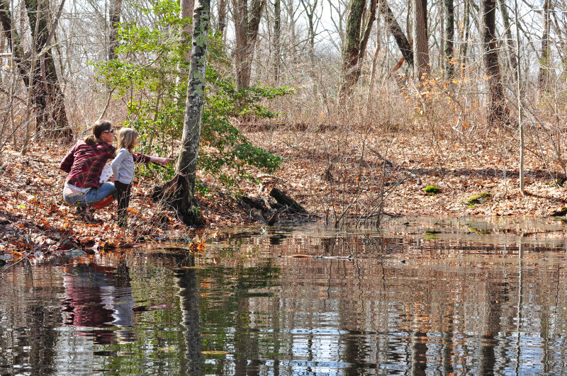 a mother and young child stand by the edge of a certified vernal pool, looking for signs of life. 