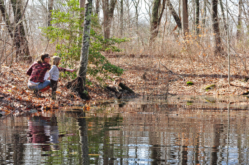 a mother and young child stand by the edge of the vernal pool at Parsons Reserve in Dartmouth