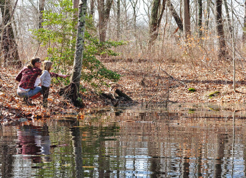 a mother and young child stand by the edge of the vernal pool at Parsons Reserve in Dartmouth