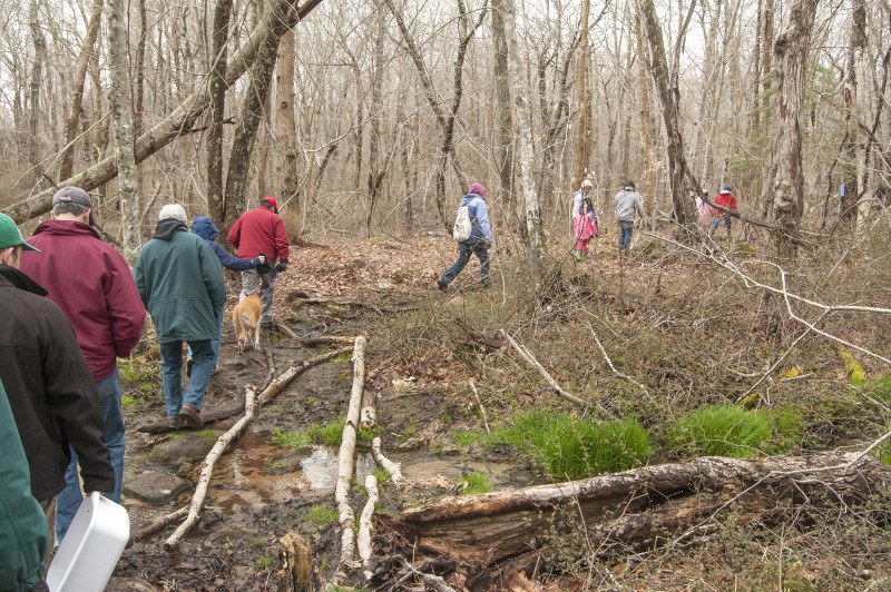 a group of people walking along a wet trail through the woods at Parsons Reserve in Dartmouth