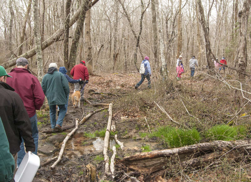 a group of people walking along a wet trail through the woods at Parsons Reserve in Dartmouth