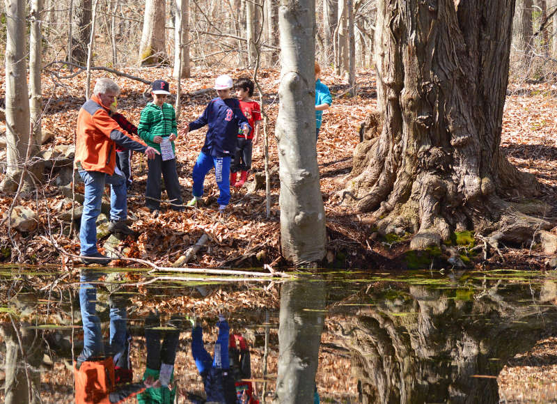 a father and several children stand in the woods next to the vernal pool at Parsons Reserve in Dartmouth