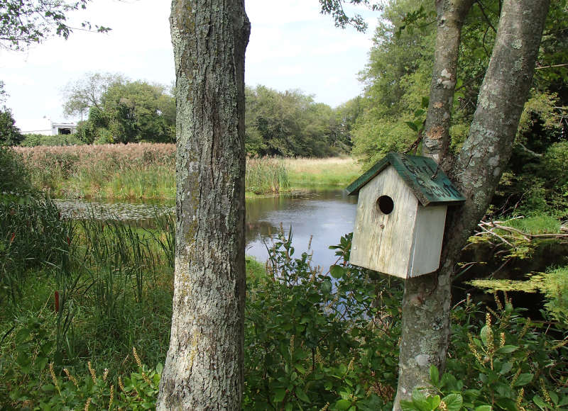 bird house on the Paskamansett River in Dartmouth