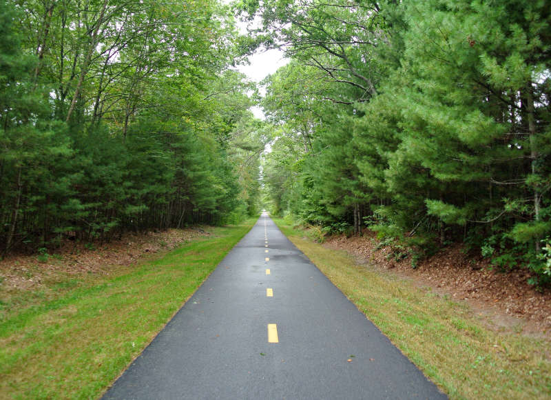 Phoenix Bike Trail through woods in Fairhaven