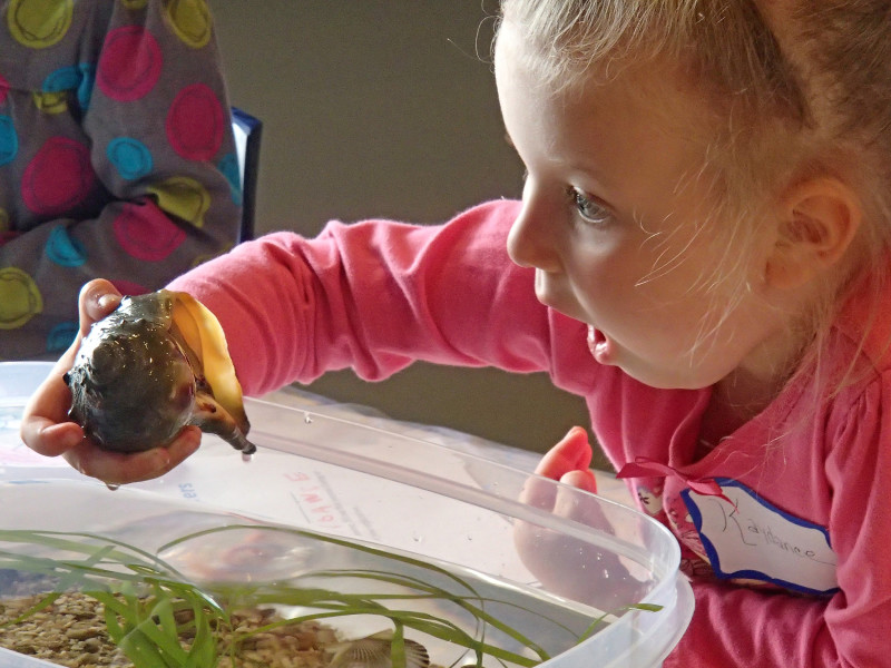 a girl holding up a whelk in amazement