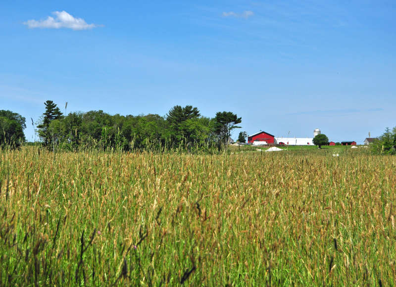 red barn next to Shaw Farm Trail in Fairhaven