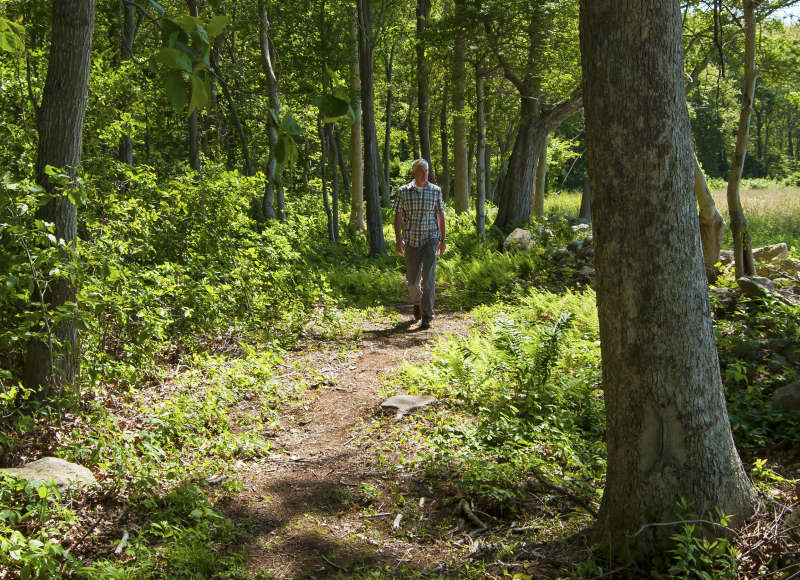 a man walks on a trail through the woods